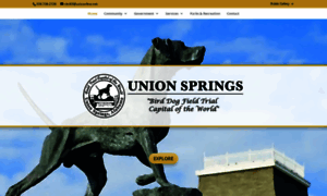 Unionspringsal.gov thumbnail