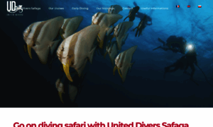 United-divers-egypt.com thumbnail