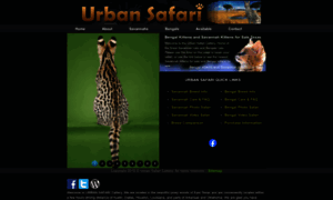 Urbansafaricattery.com thumbnail