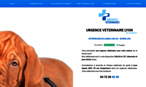 Urgences-veterinaires-lyon.fr thumbnail
