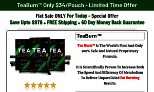 Us-theteaburn.com thumbnail