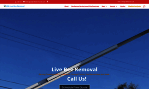 Usalivebeeremoval.com thumbnail