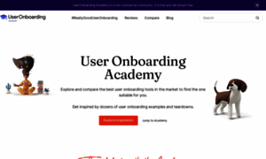 Useronboarding.academy thumbnail
