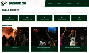 Usfbullstix.com thumbnail