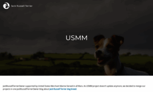 Usmm.net thumbnail