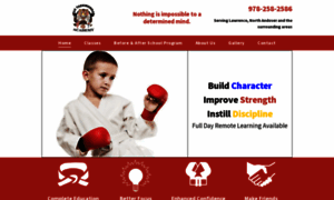 Ustaekwondo-academy.net thumbnail