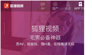 V020v.com.cn thumbnail