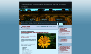 Vaccinefree.wordpress.com thumbnail
