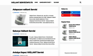 Vaillantservisi.info.tr thumbnail