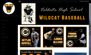 Valdostawildcatbaseball.com thumbnail