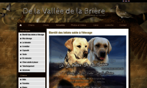 Valleedelabriere.chiens-de-france.com thumbnail