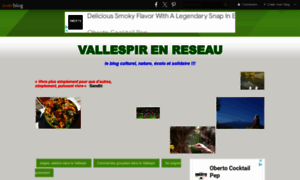 Vallespirenreseau.over-blog.com thumbnail