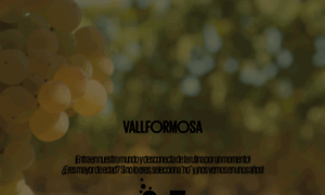 Vallformosagroup.com thumbnail