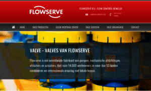 Valve-flowserve.nl thumbnail