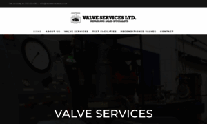 Valveservicesltd.co.uk thumbnail