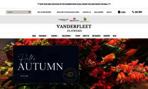 Vanderfleet.com thumbnail