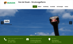 Vandestaak-struisvogelfarm.nl thumbnail