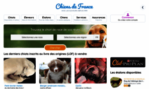 Vanessa-palomba.chiens-de-france.com thumbnail