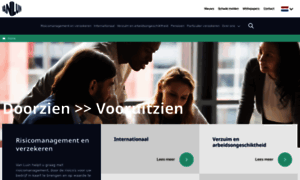 Vanluin.nl thumbnail