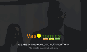 Vasonomics.com thumbnail