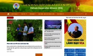 Vca.org.vn thumbnail