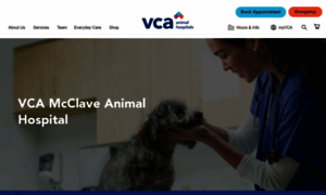 Vcamcclave.com thumbnail