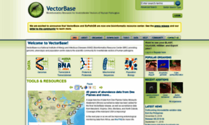 Vectorbase.org thumbnail