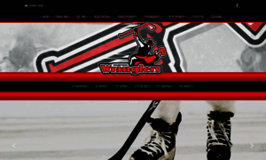 Vegrevilleminorhockey.com thumbnail