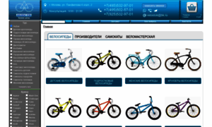 Velostok.ru thumbnail