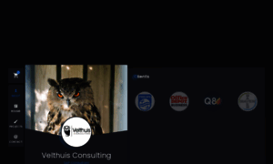 Velthuis-consulting.nl thumbnail