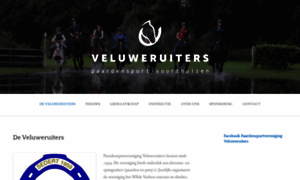 Veluweruiters.nl thumbnail