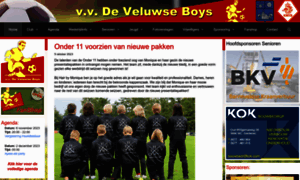 Veluwseboys.nl thumbnail