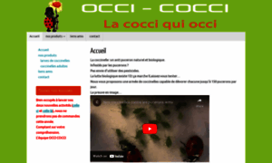 Vente-coccinelles.fr thumbnail