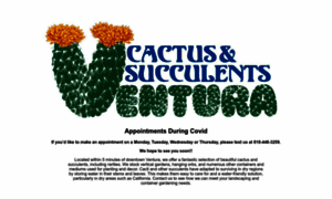 Venturacactusandsucculents.com thumbnail