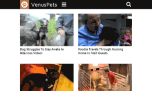 Venuspets.tv thumbnail