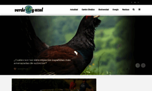 Verdeyazul.diarioinformacion.com thumbnail