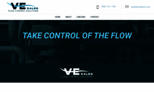 Vesalesinc.com thumbnail