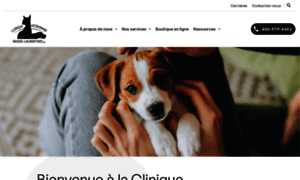 Vetbasseslaurentides.com thumbnail