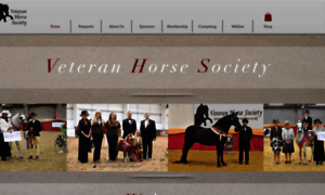 Veteran-horse-society.co.uk thumbnail