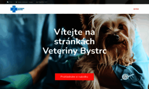 Veterinabystrc.cz thumbnail