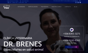 Veterinariadrbrenes.com thumbnail