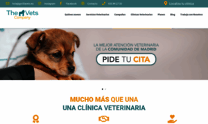 Veterinariosolidario.es thumbnail