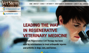 Vetstem.com thumbnail