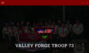 Vftroop73.org thumbnail