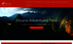 Vicunaadventuresperu.com thumbnail