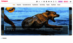 Video.thedogman.net thumbnail