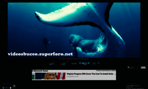 Videosbuceo.superforo.net thumbnail