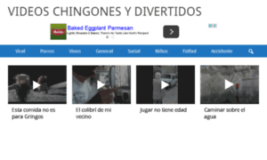 Videoschingonesydivertidos.com thumbnail