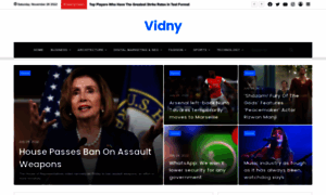 Vidny.net thumbnail