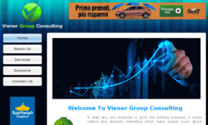 Vienergroupconsulting.com thumbnail